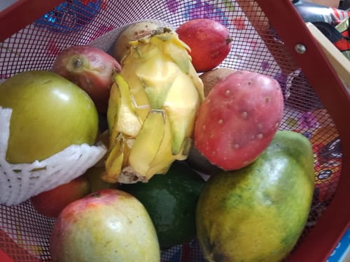 Customer's Probierbox Exotische Früchte mit verschiedenen bunten Früchten in einem roten Netzkorb.