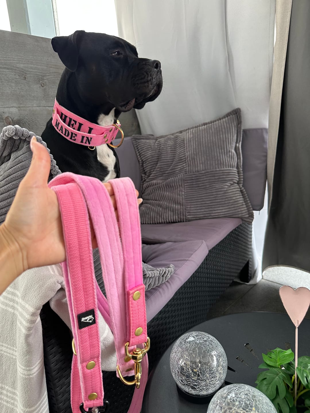 Customer photo review of Multi Guard Leash Golden Candy Pink - Multi-väktarkoppel