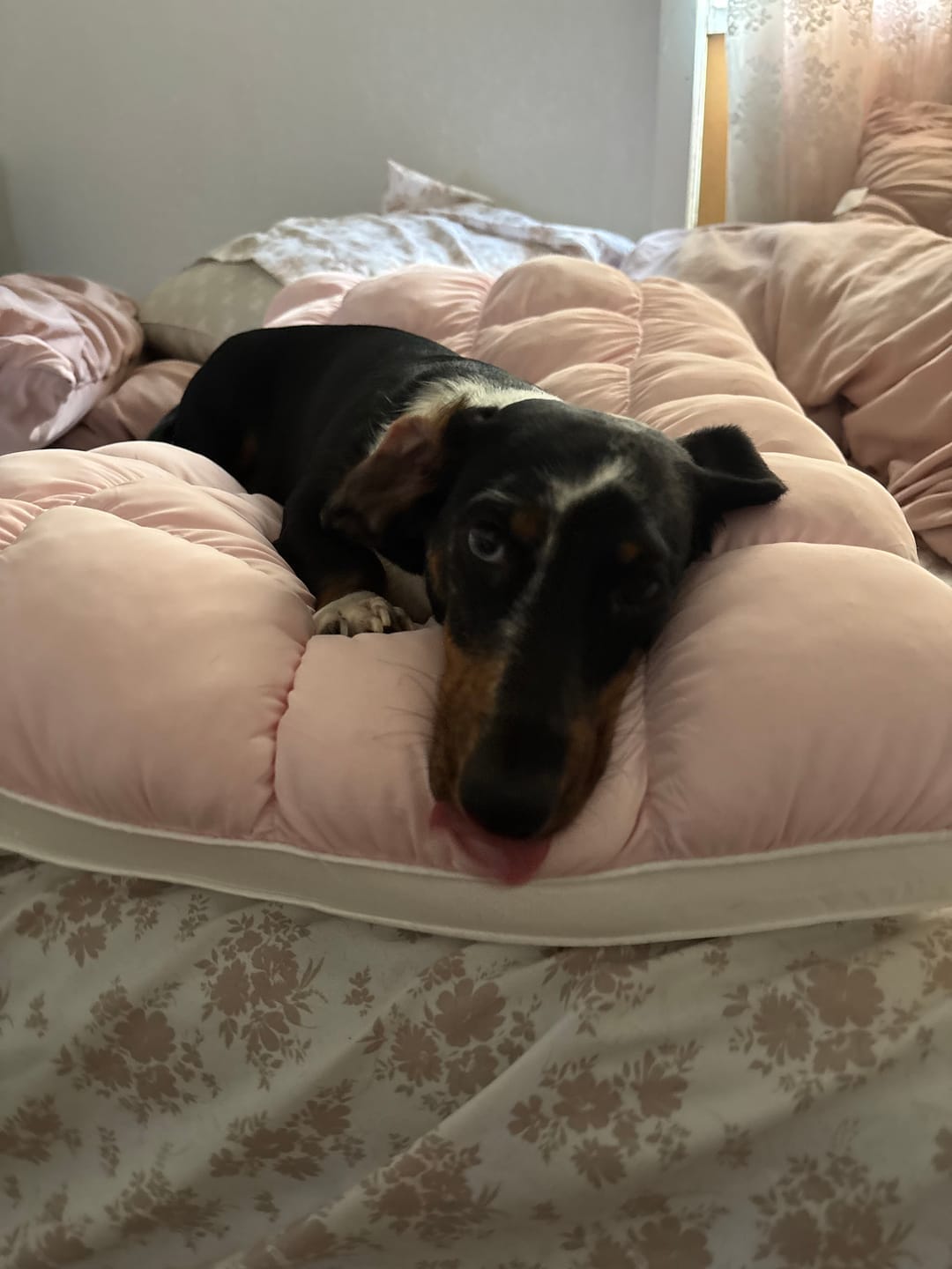 Customer photo review of Puff Pillow