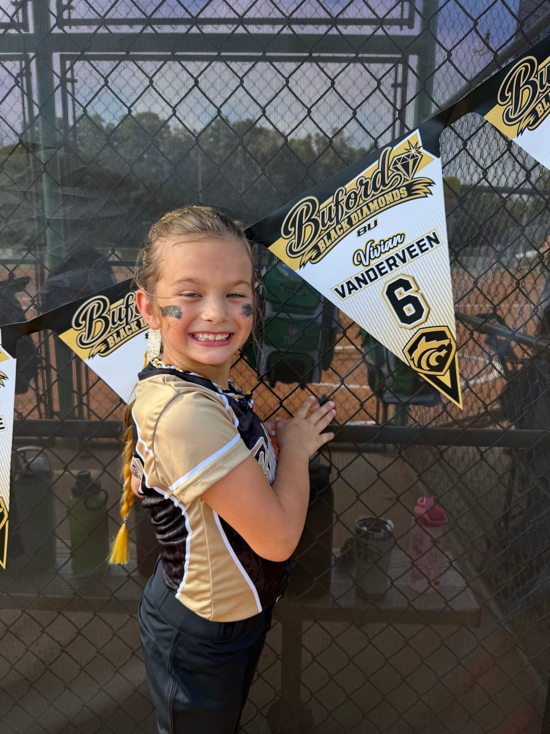 Customer photo review of Pennants - Design B
