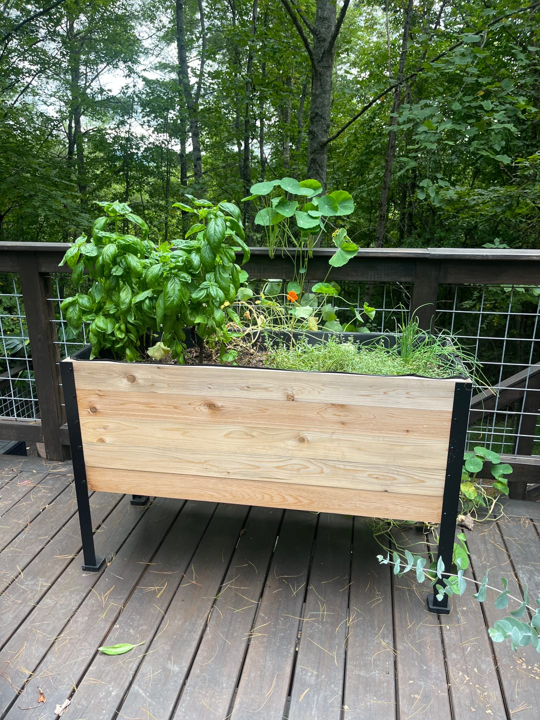 Customer photo review of Greenhouse Cover