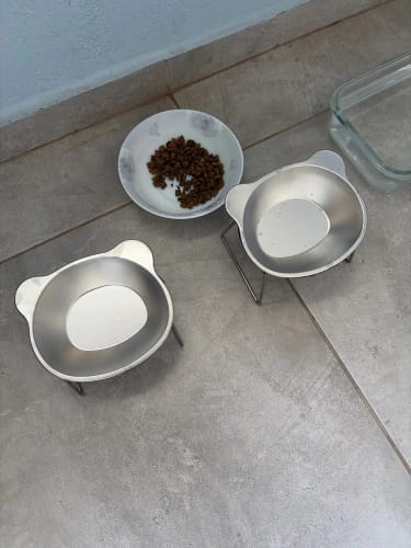 Customer photo review of Sanebu™ Orthopedic Elevated Bowl for Small Dogs NO
