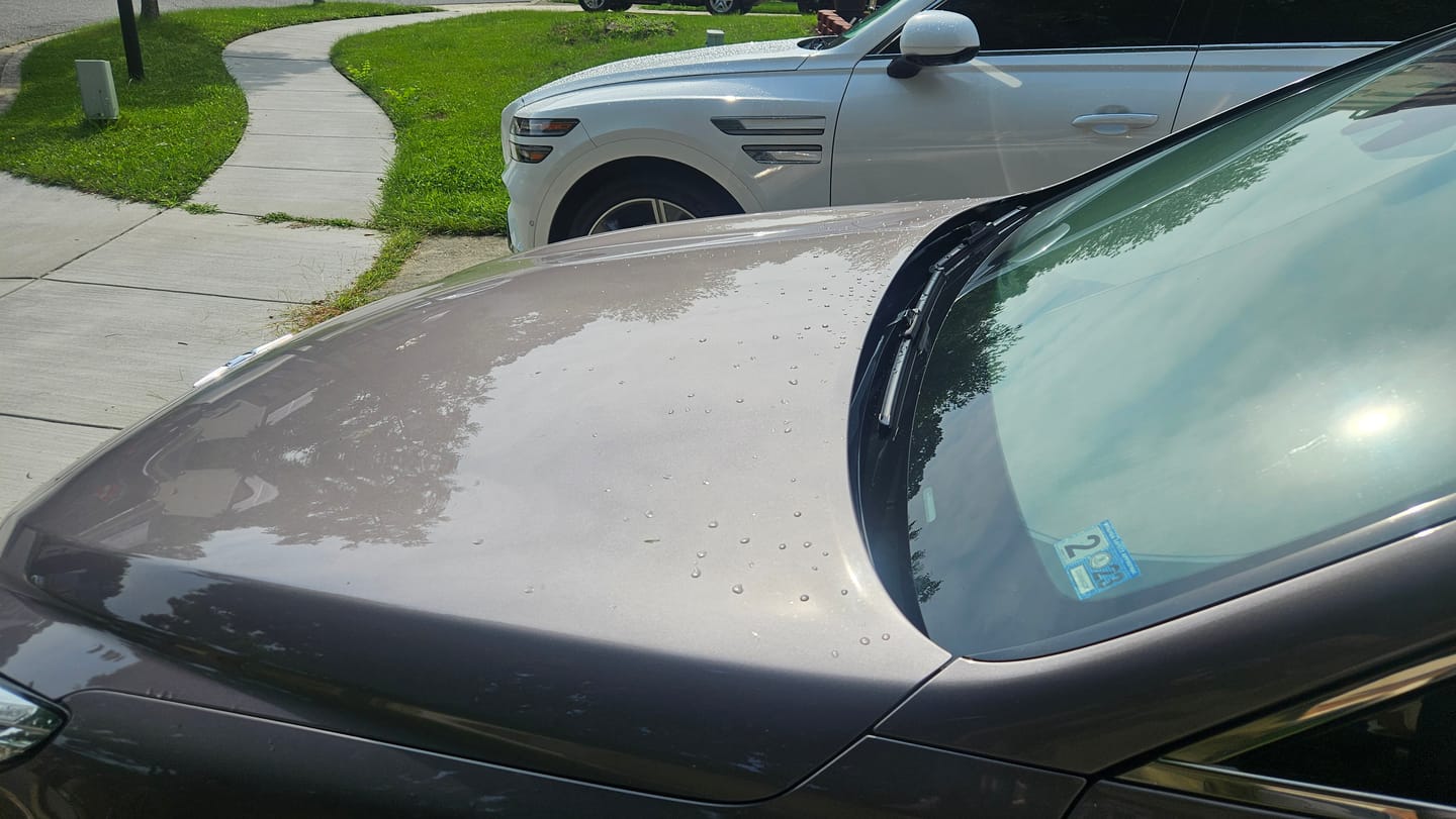 Customer photo review of Show Ready Quick Detailer Gallon