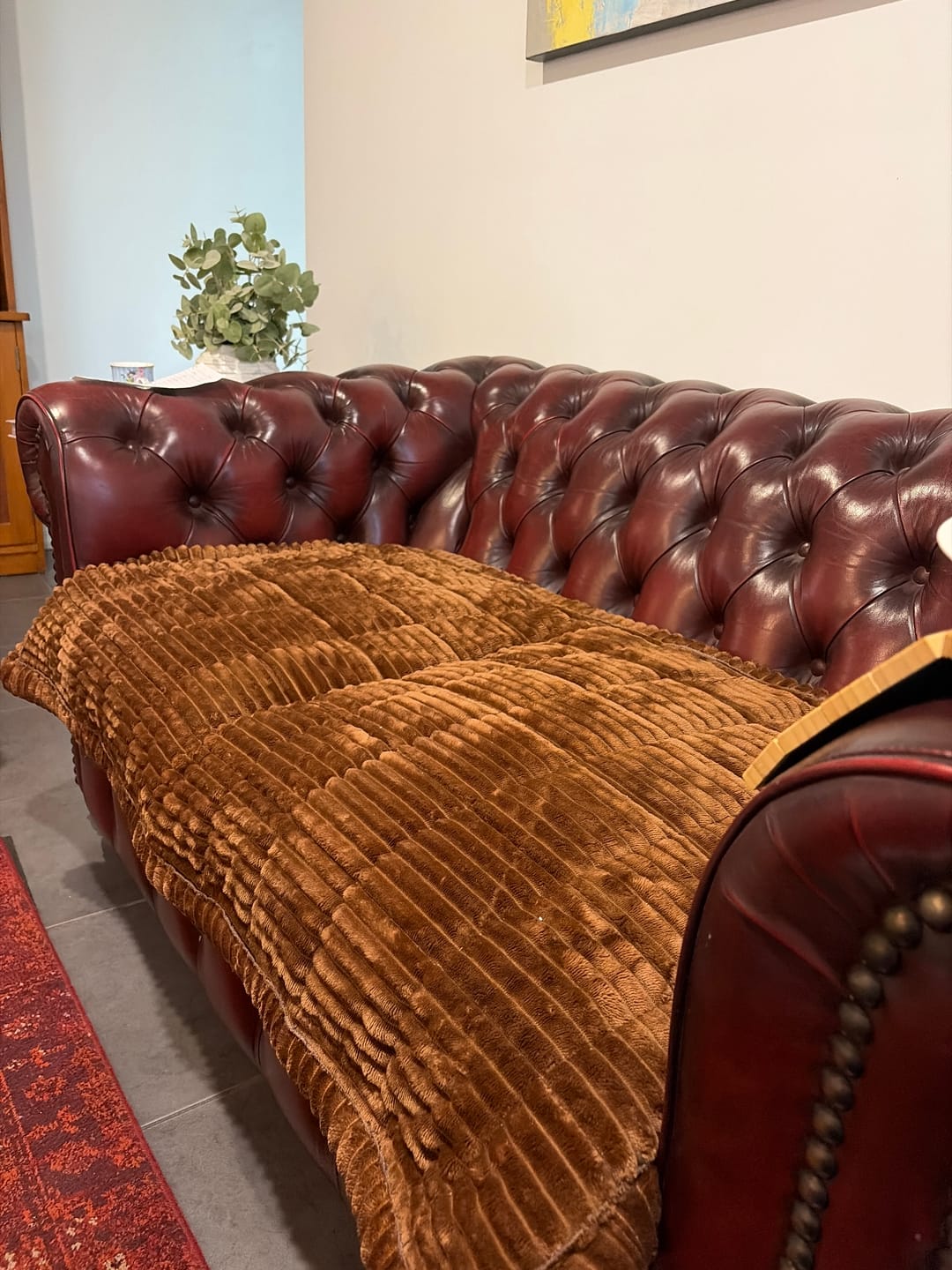 Customer photo review of LuxeLounge™ Couch Cover