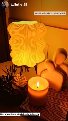 Customer photo review of LAZY LAMP