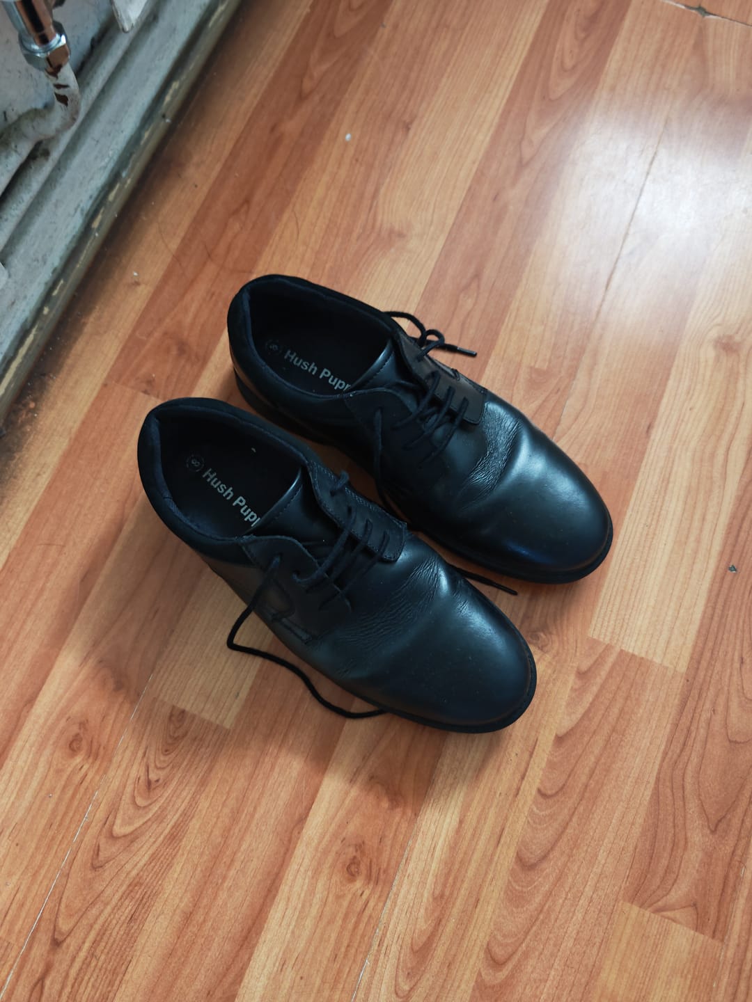Customer photo review of Black Lace Up Tommy XL Senior School Shoes