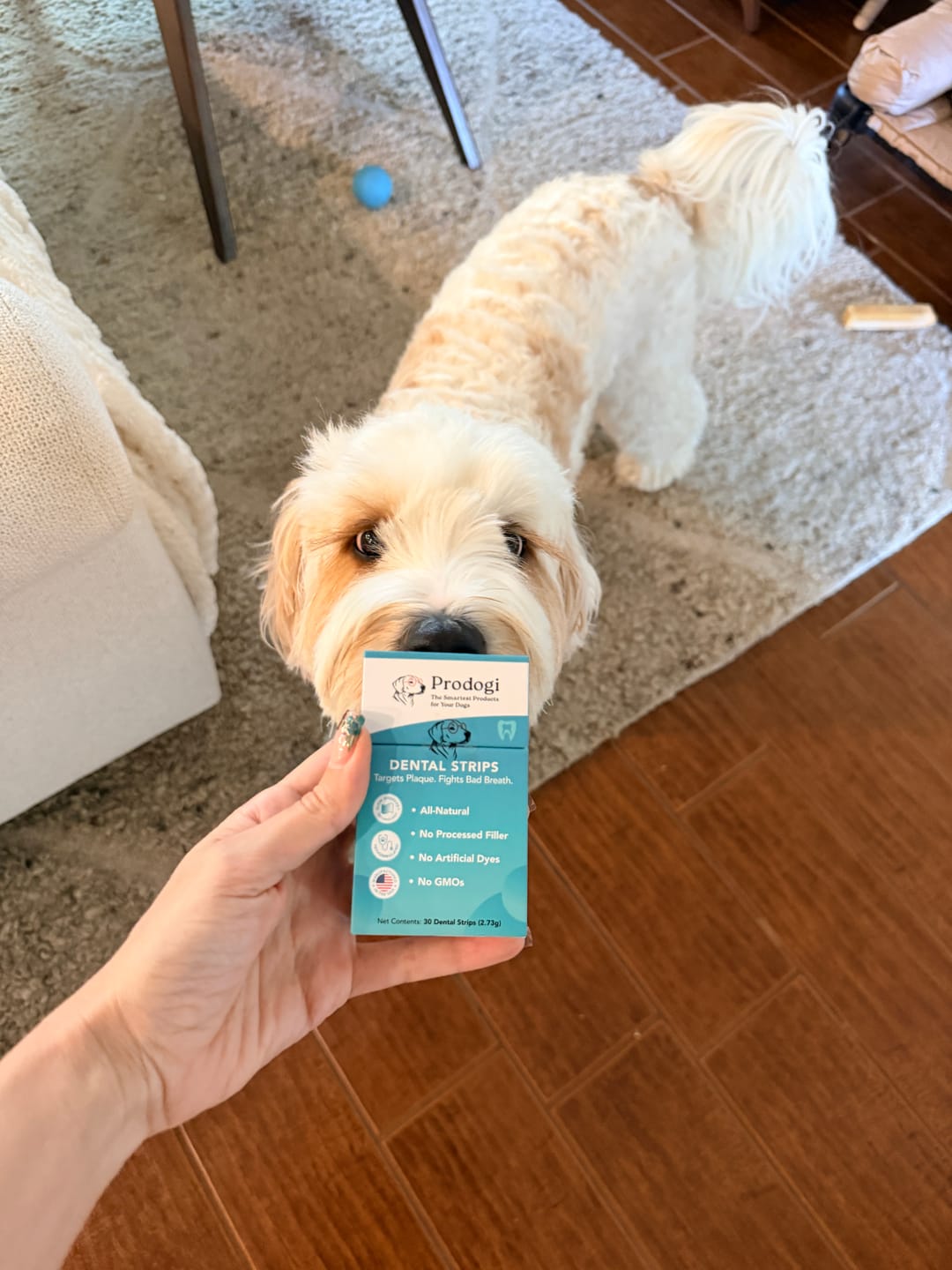 Customer photo review of DENTAL STRIPS