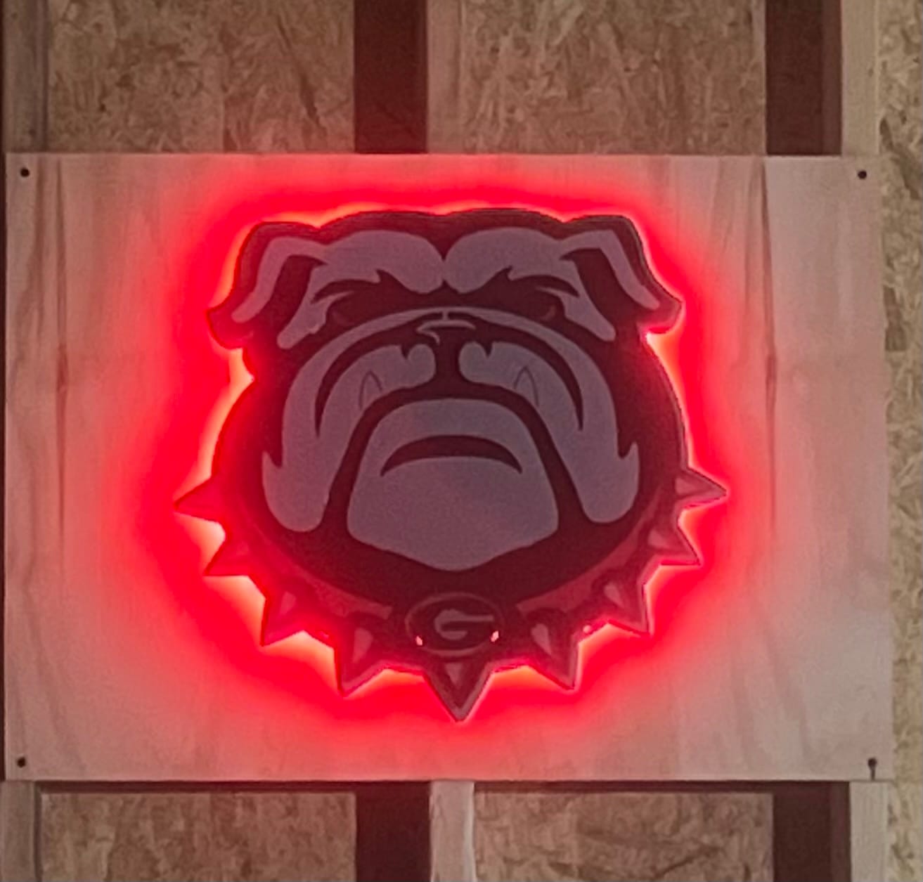 Customer photo review of Georgia Bulldogs "Uga" 3D Vintage Metal Wall Art