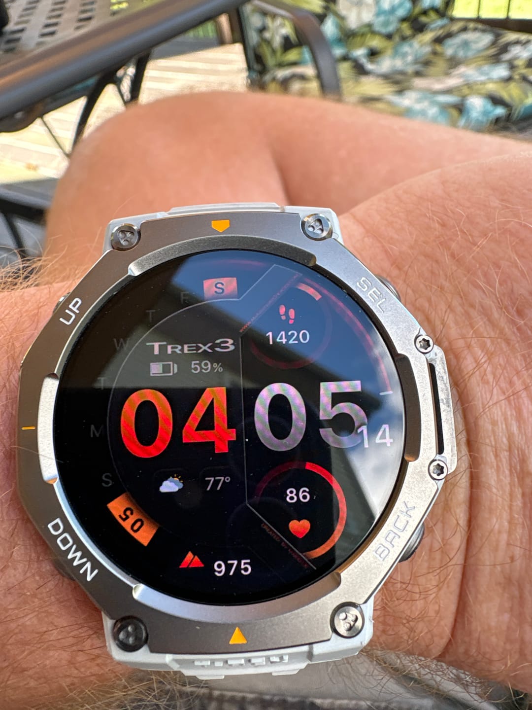 Customer photo review of T-Rex 3