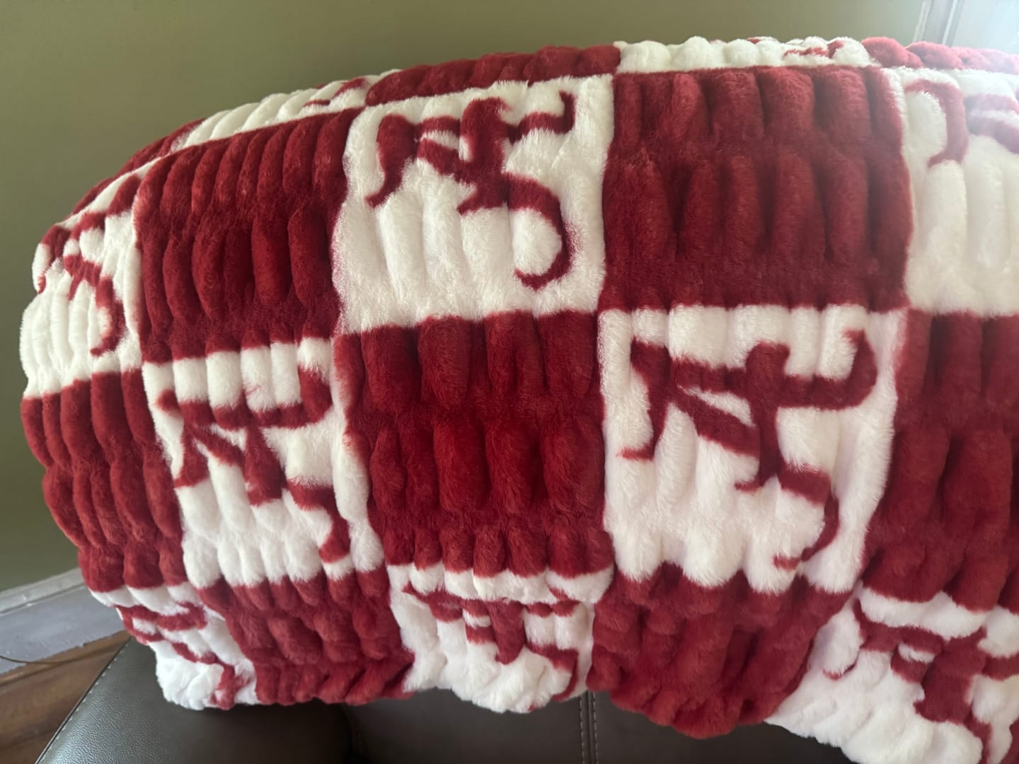 Customer photo review of University of Alabama Crimson Tide Blanket - Hugs