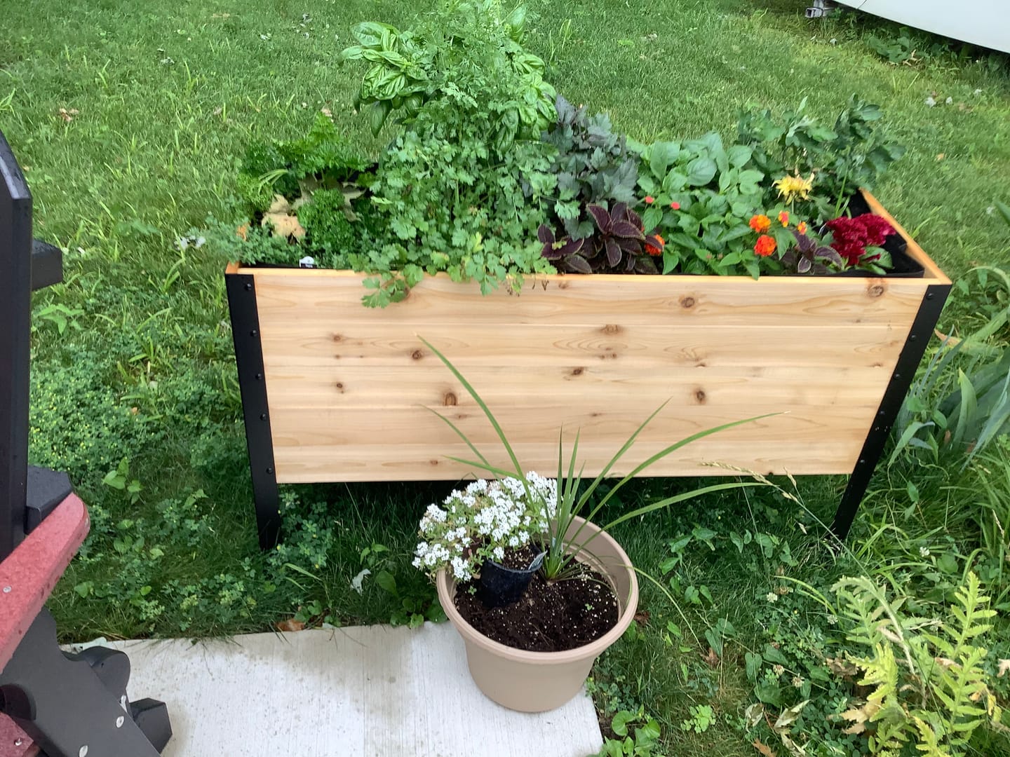 Customer photo review of 18″ x 48″ Deep Root Raised Garden Bed - 30″ TALL - Select Grade