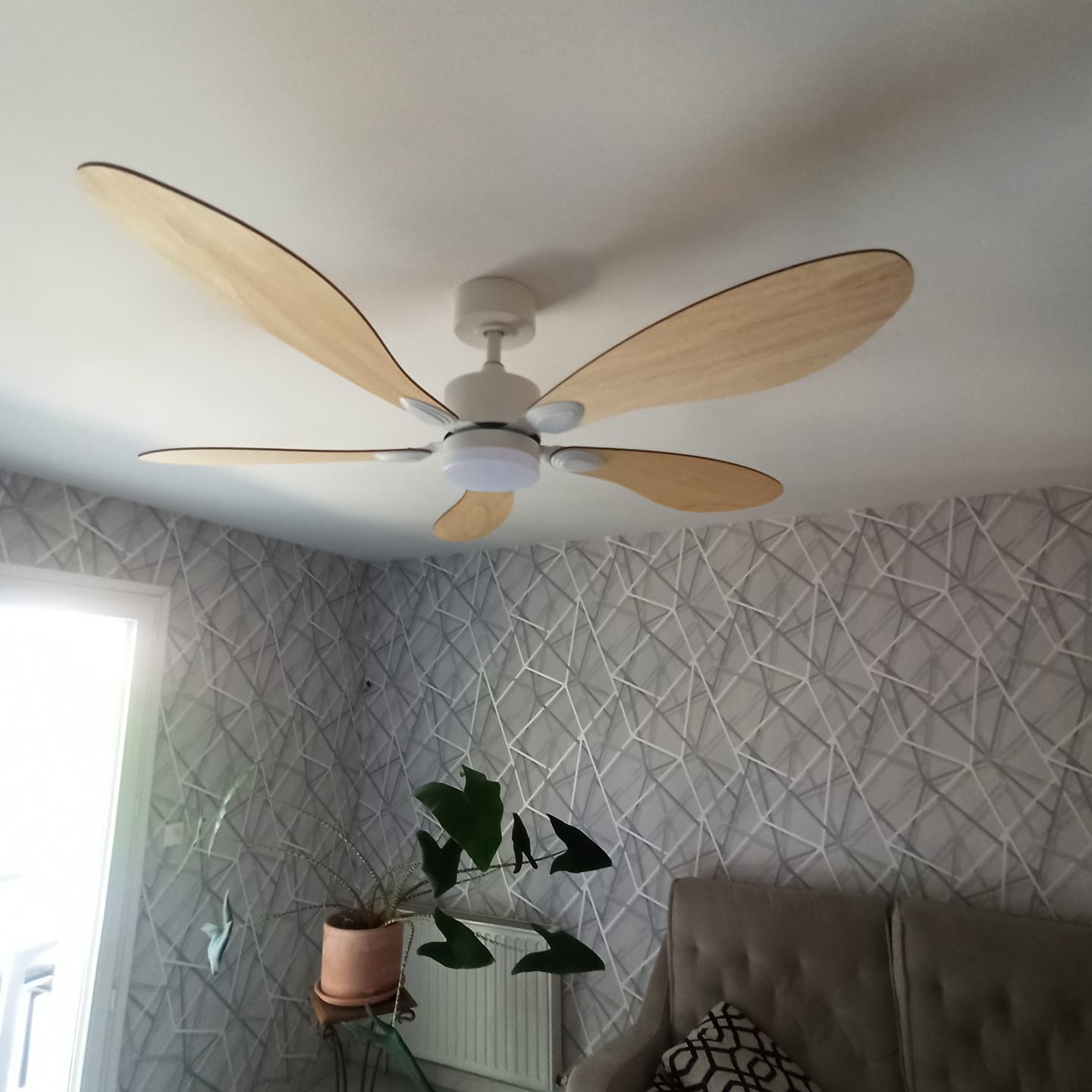 Customer photo review of Libellule | Ventilateur de plafond