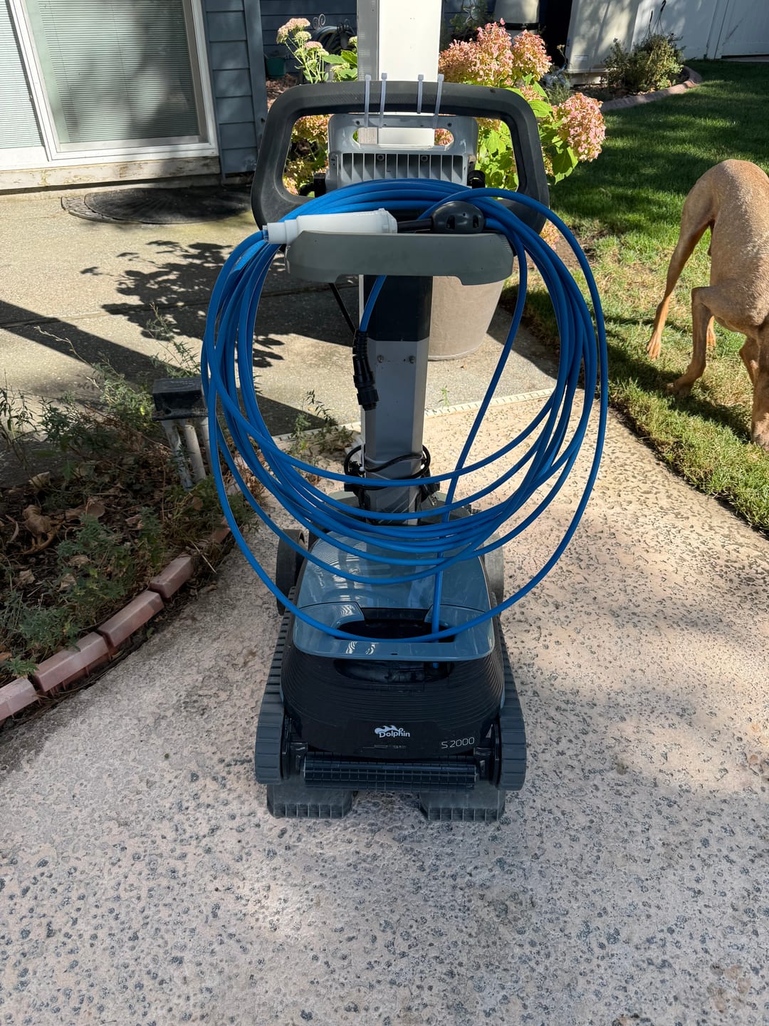 Customer photo review of Dolphin S2000 Corded Robotic Pool Vacuum Maytronics