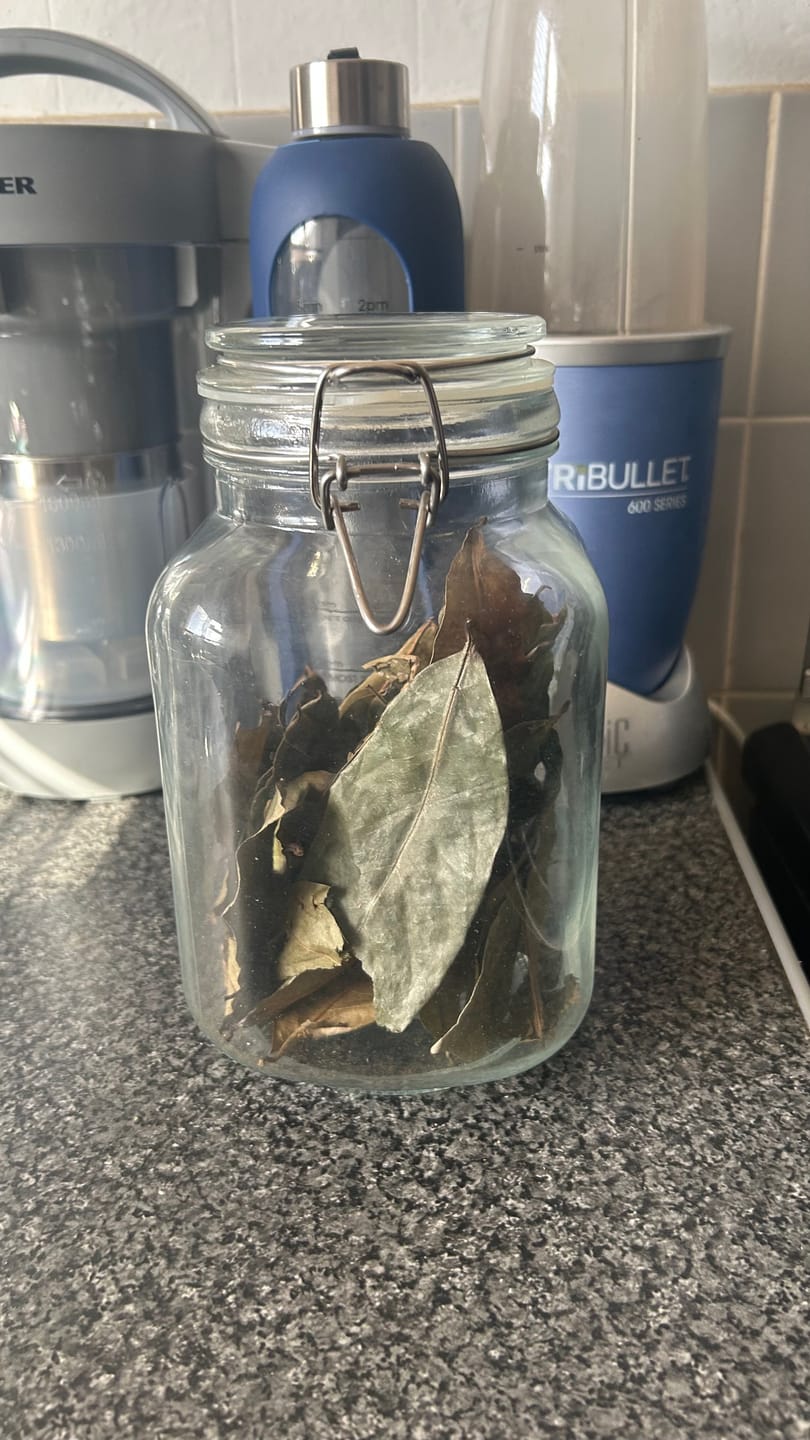 Customer photo review of Soursop Leaf