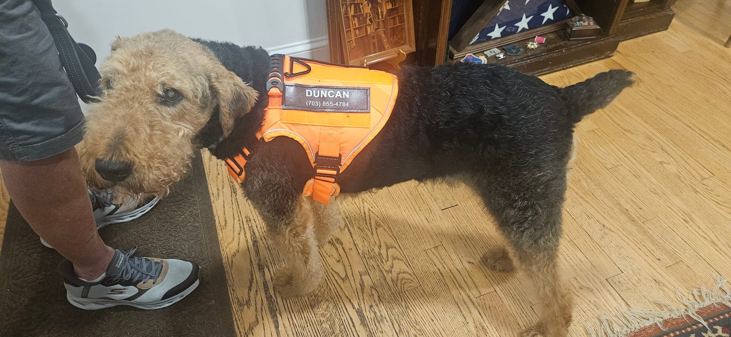 Customer photo review of Team K9® Custom Harness Patch (Printed Pair)