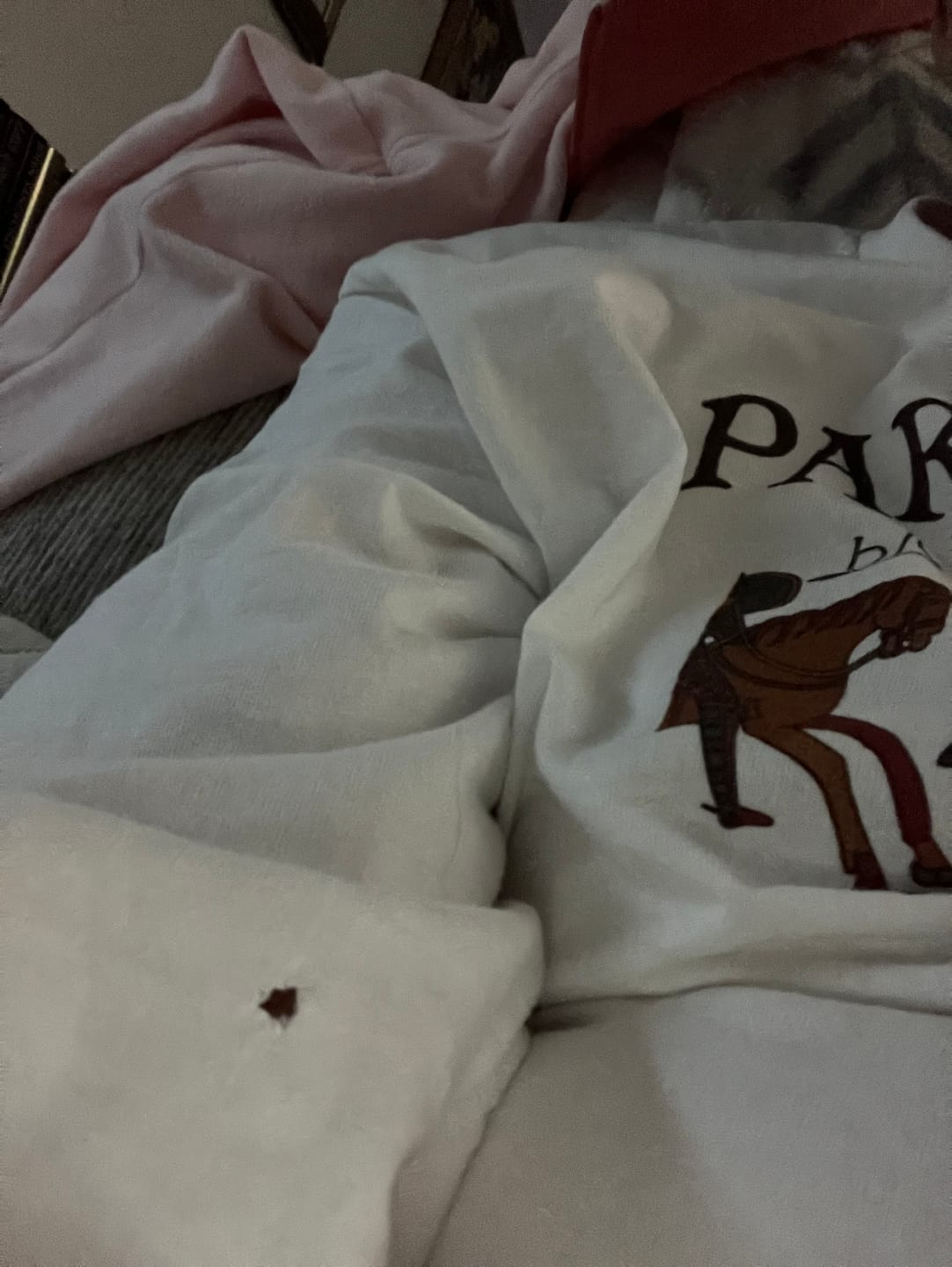 Customer photo review of Hell Nay Bayeux Tapestry Meme Light Unisex Long Sleeve Tee
