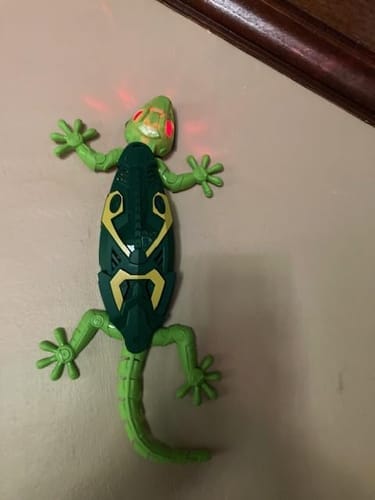 Customer photo review of GeckoCrawler™ – Wall, Ceiling & Floor RC Lizard