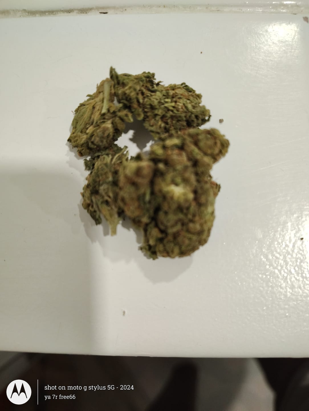Customer photo review of Chem Dawg - 28 Grams - Hybrid