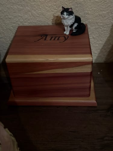 Customer's Personalized Pet 3D Figurine of a black and white cat sitting on a wooden urn with the name Amy engraved.