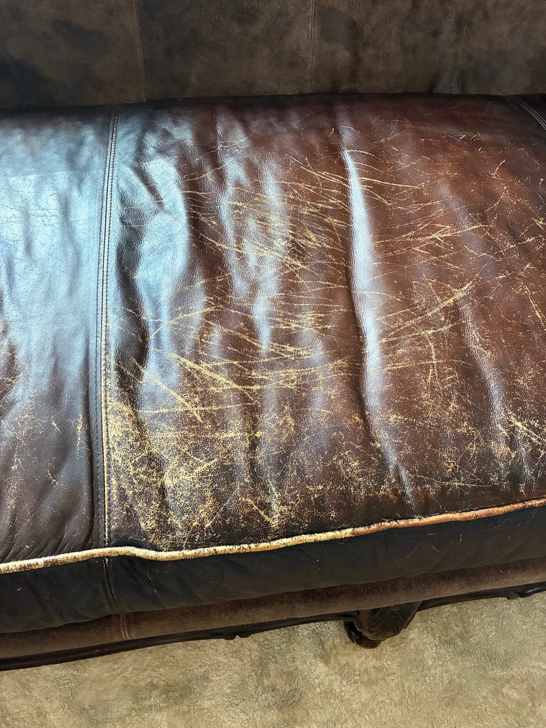 Customer photo review of Clyde's 4-Step Leather Recoloring Kit