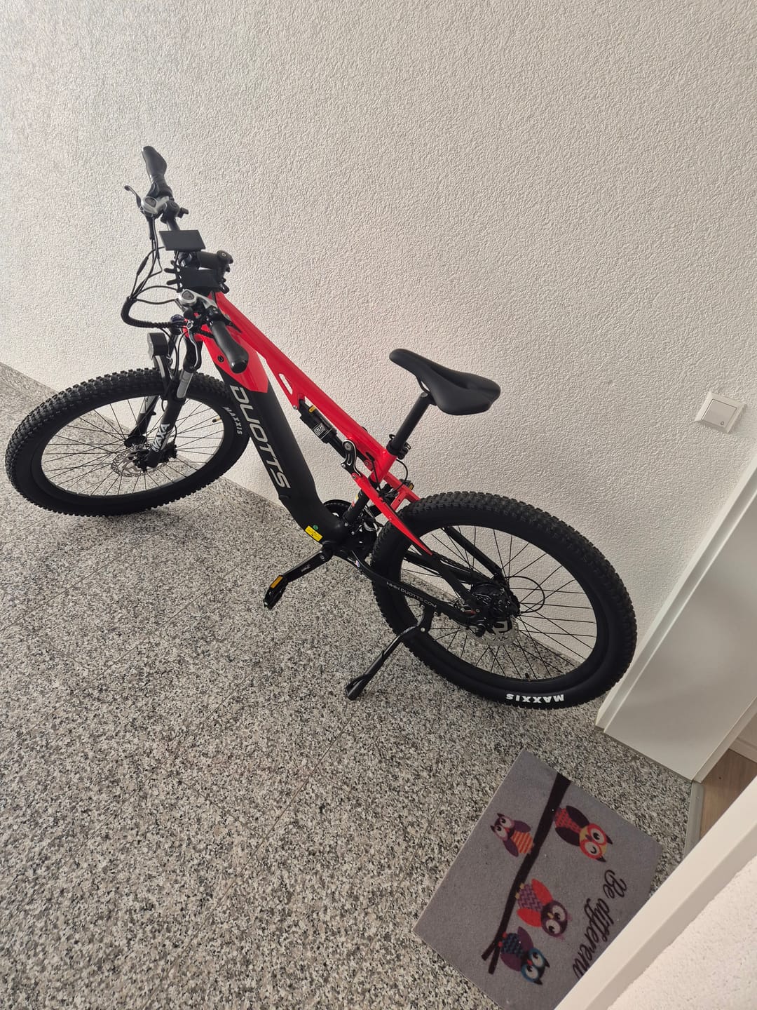 Customer photo review of DUOTTS E29 Electric Bike
