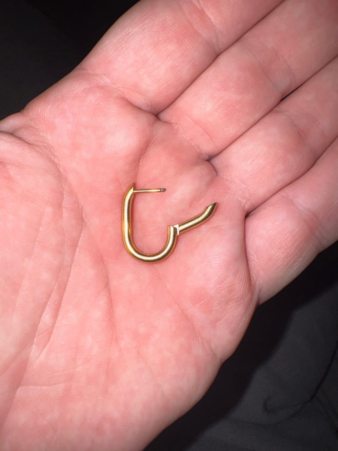 Customer photo review of Paper Clip Hoop Earrings