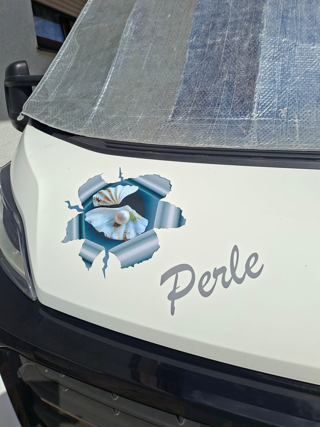Customer photo review of Personalisierter Autoaufkleber - Spähendes Foto