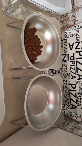 Customer photo review of Sanebu™ Orthopedic Elevated Bowl for Small Dogs NO