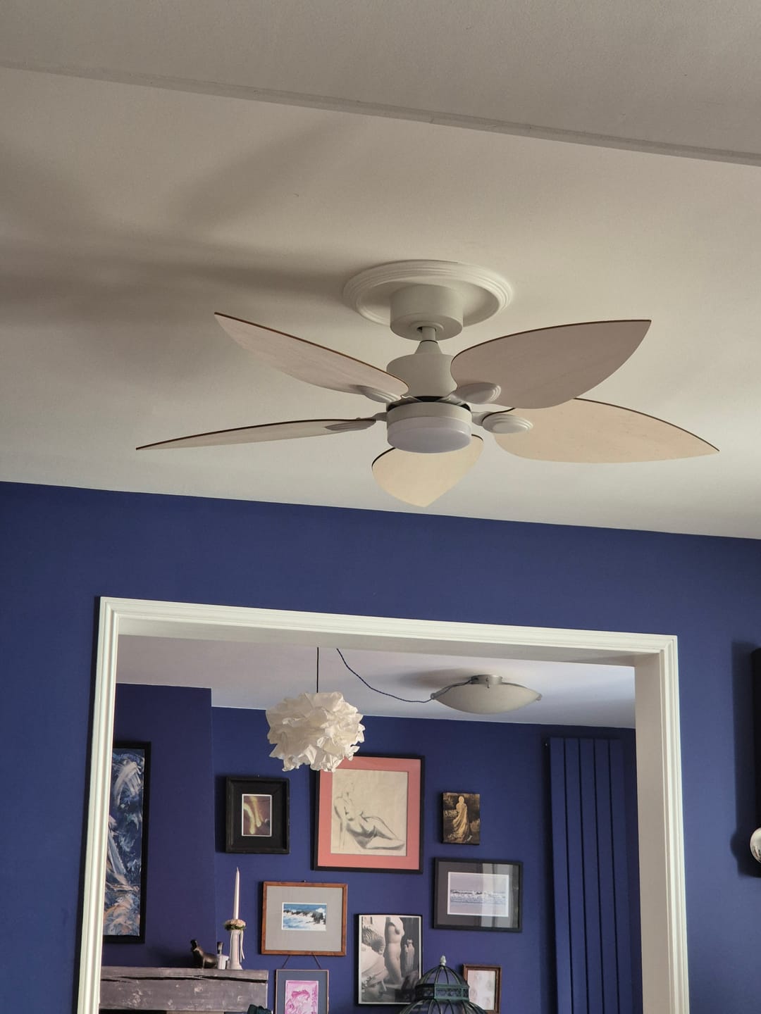 Customer photo review of Virevole | Ventilateur de plafond