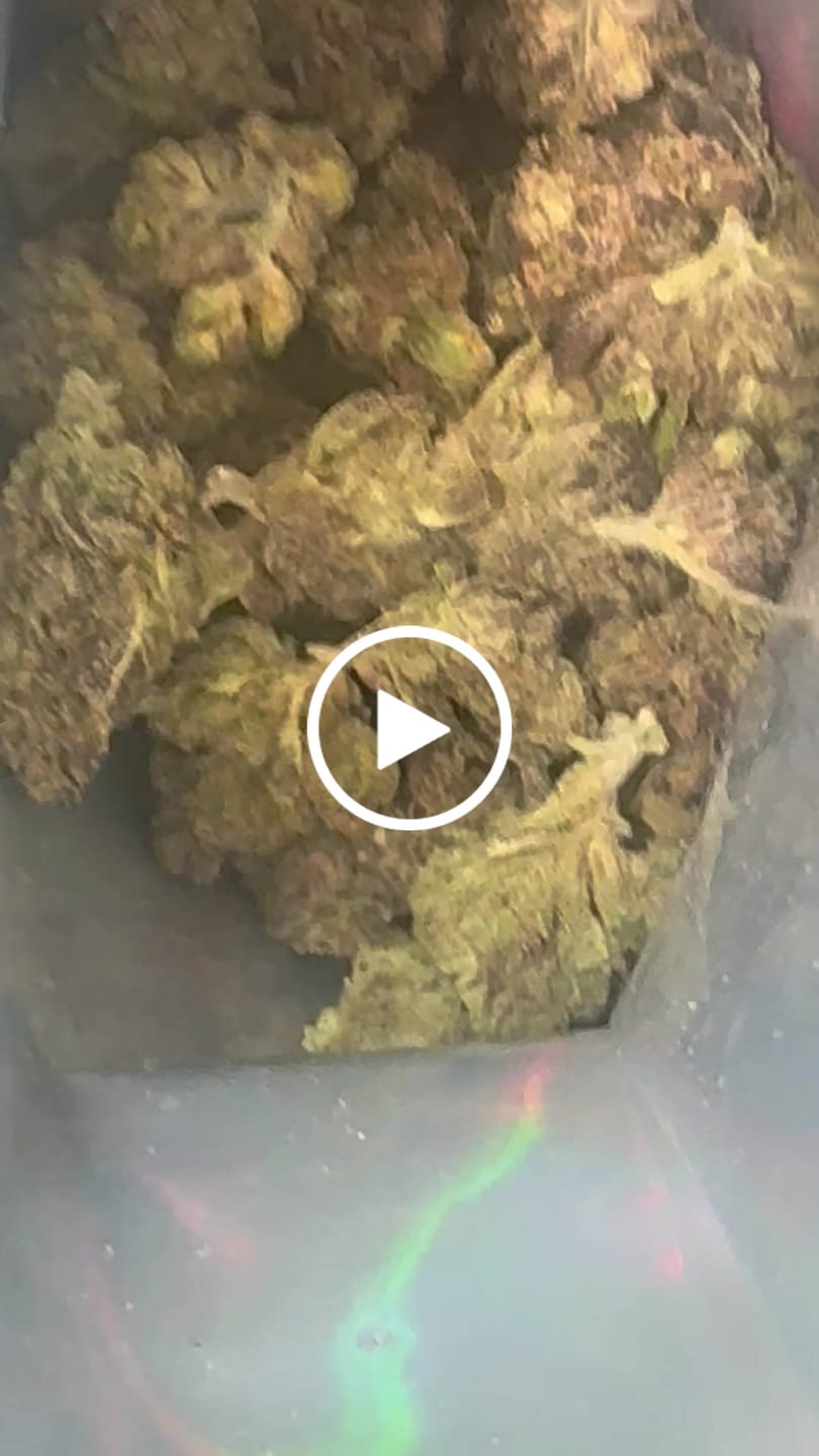 Customer video review of Jet Fuel Gelato - Minis - 14 Grams - Indica