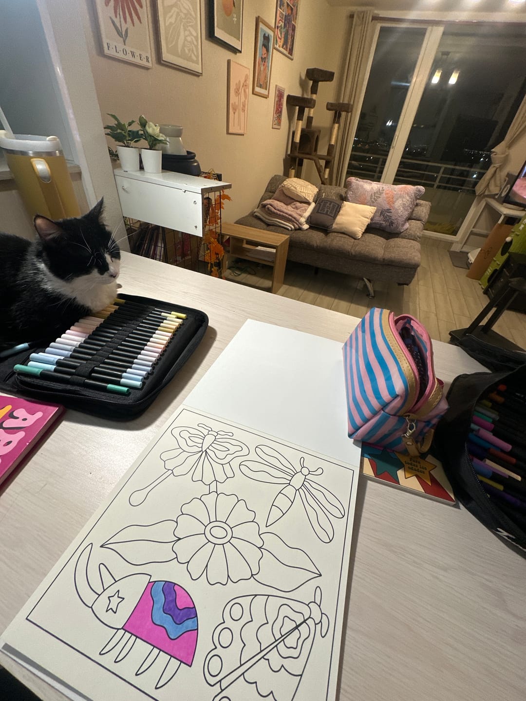 Customer photo review of Pack Jungle + Circus