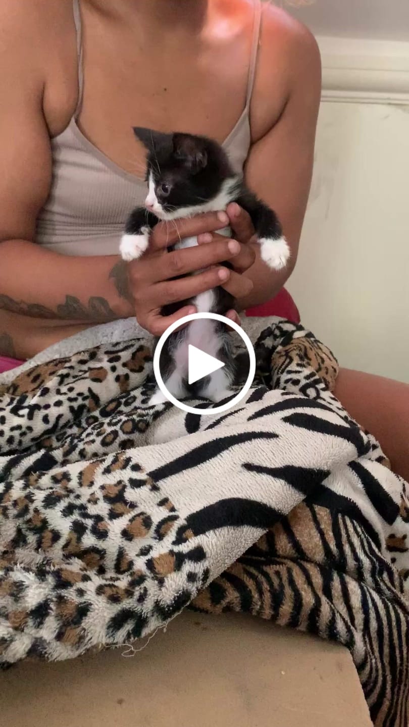 Customer video review of Sunkist Singles To Go Peach