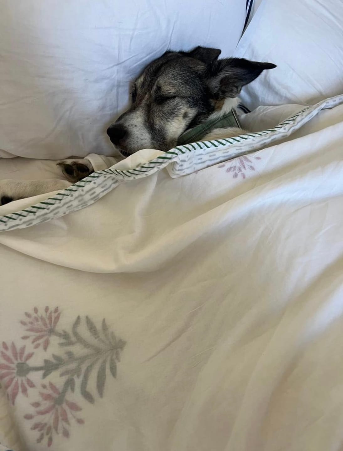 Customer photo review of Verona Organic Muslin Blanket — Hand Block Printed