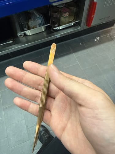Customer photo review of Small Straight SuperFine Tweezers