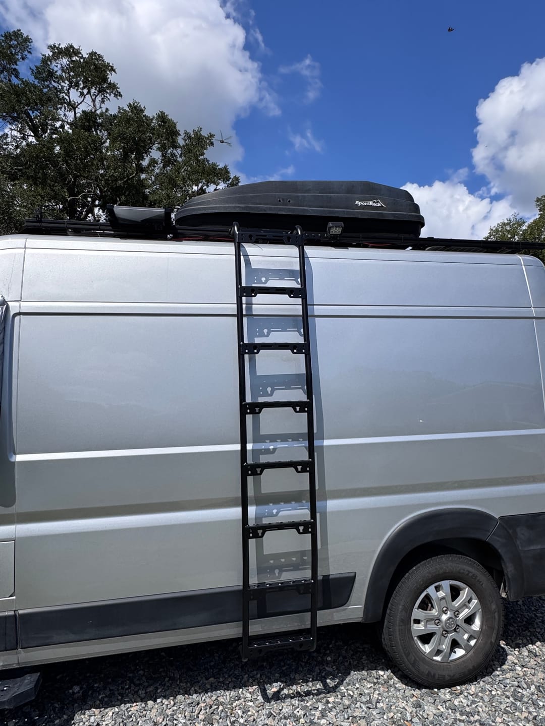 Customer photo review of Ram ProMaster Side Mount Ladder