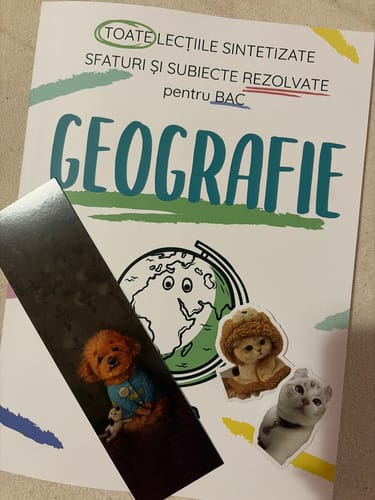 Reviewer's Carte Geografie Bacalaureat Bacademia book with cute cat stickers and a bookmark