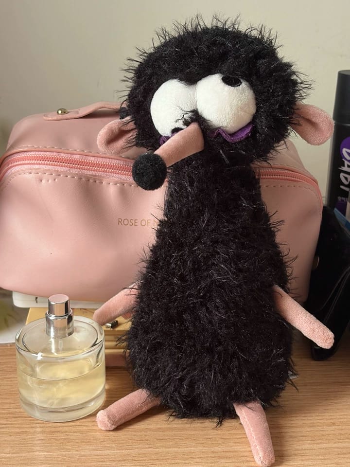Customer photo review of Larry Mouse