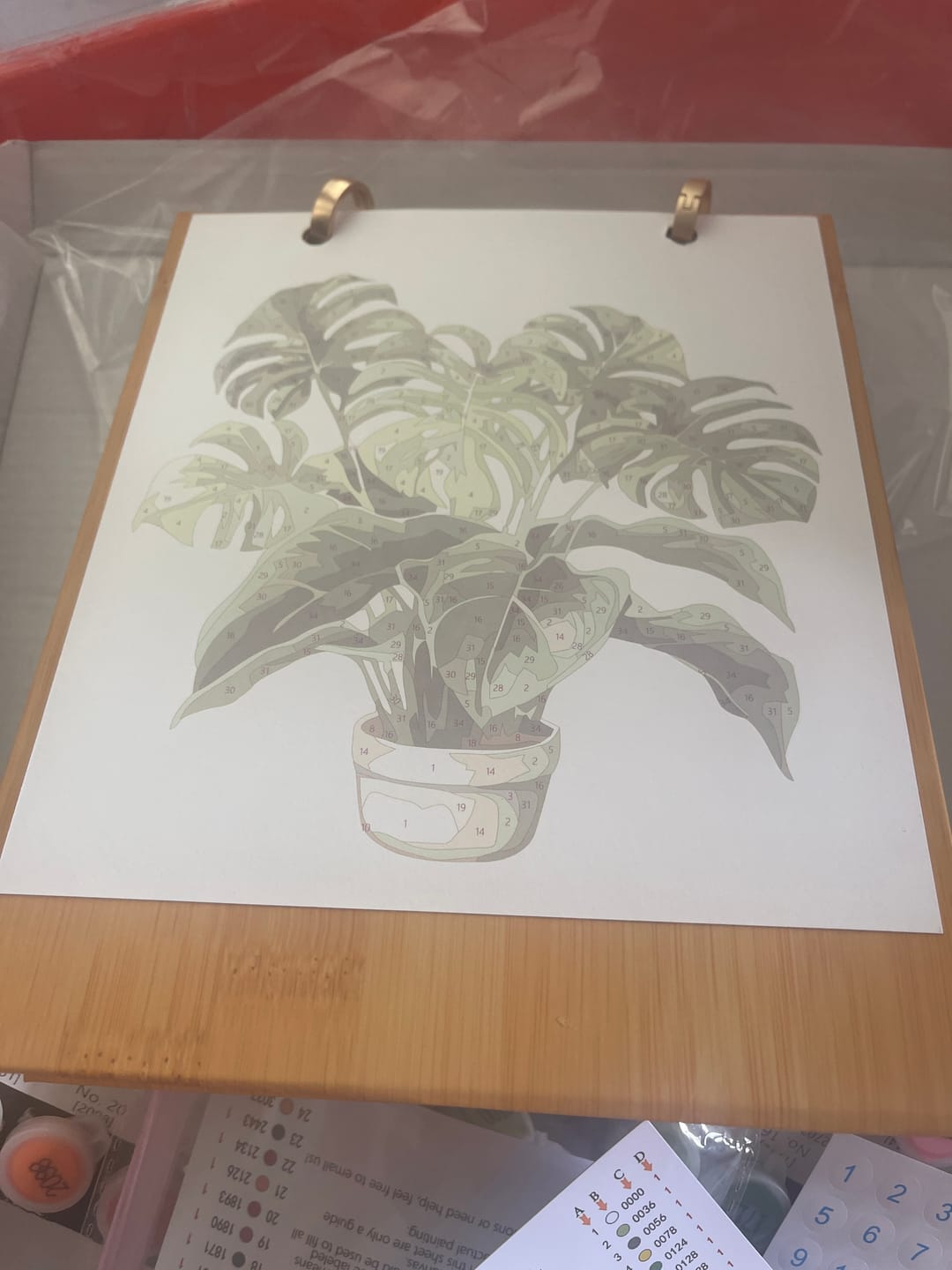 Customer photo review of 2027 Paint by Numbers Desk Calendar | Plants Edition