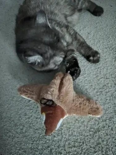 Customer photo review of Motion-Activated Flapping Bird Cat Toy