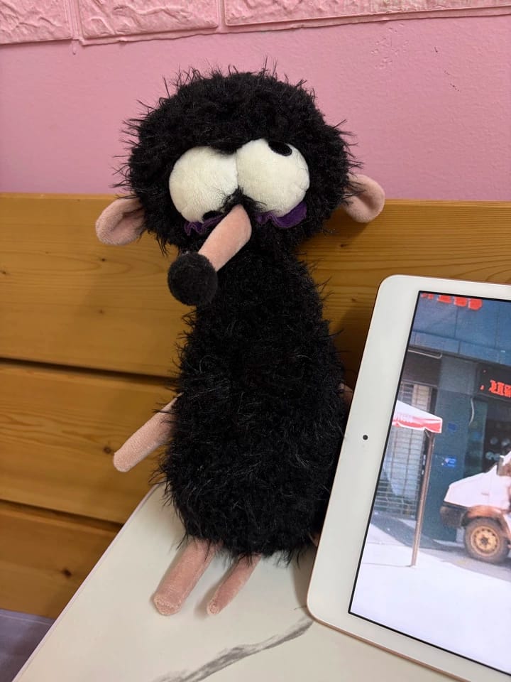 Customer photo review of Larry Mouse