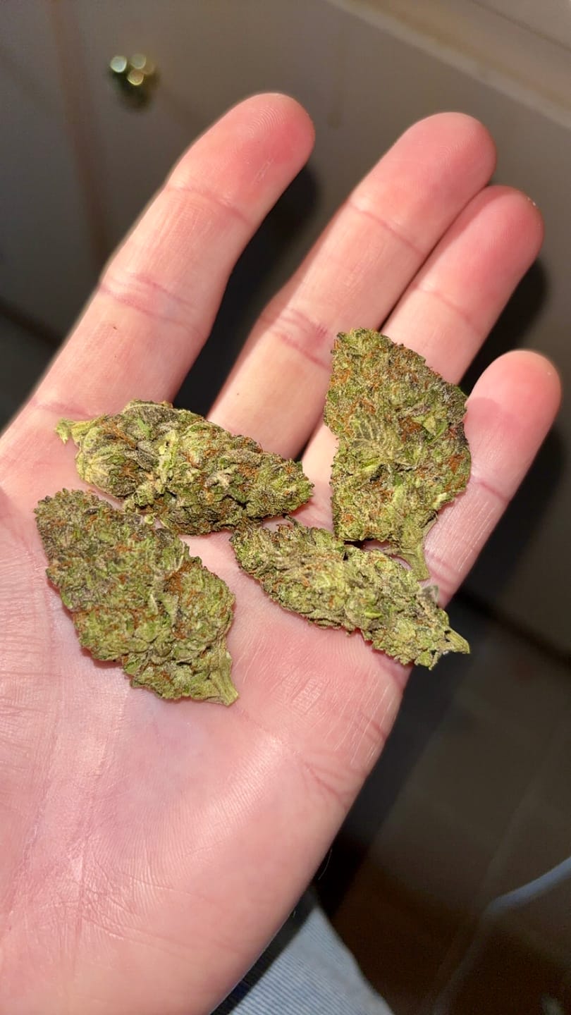 Customer photo review of THCA Queen