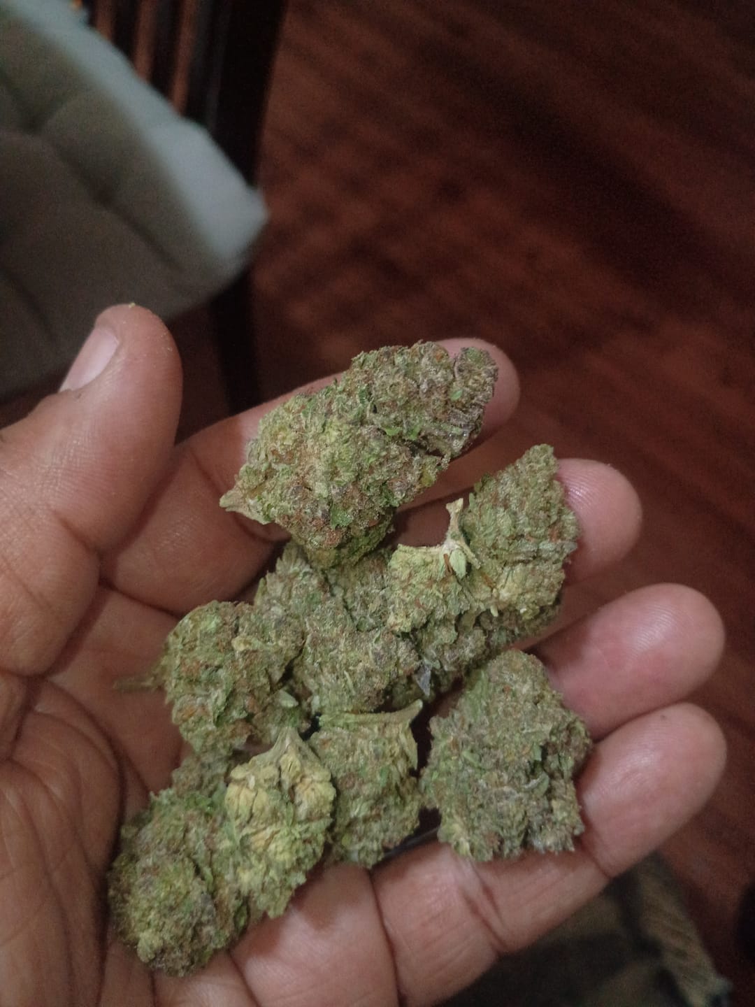 Customer photo review of Biscotti THCA Flower (Premium)