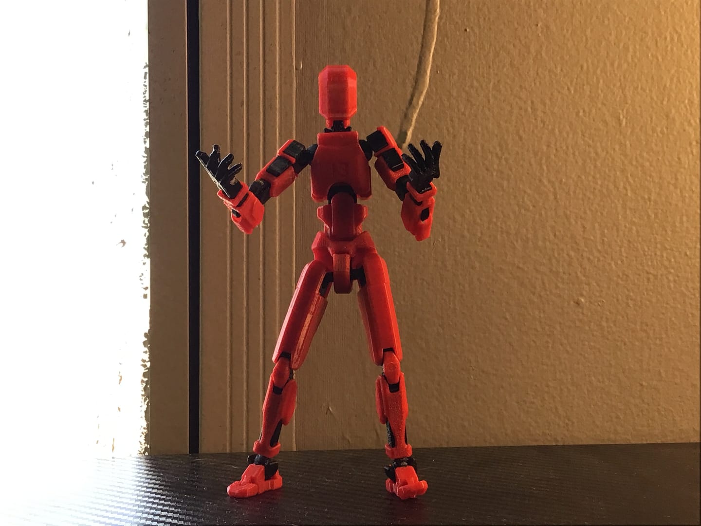 Customer photo review of Dummy 13