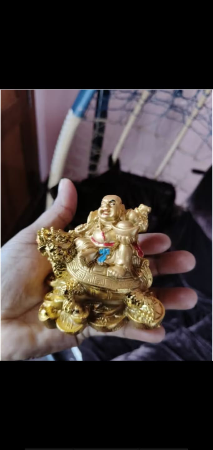 Customer photo review of Golden Dragon Buddha Statue – Wealth & Prosperity Home Decor
