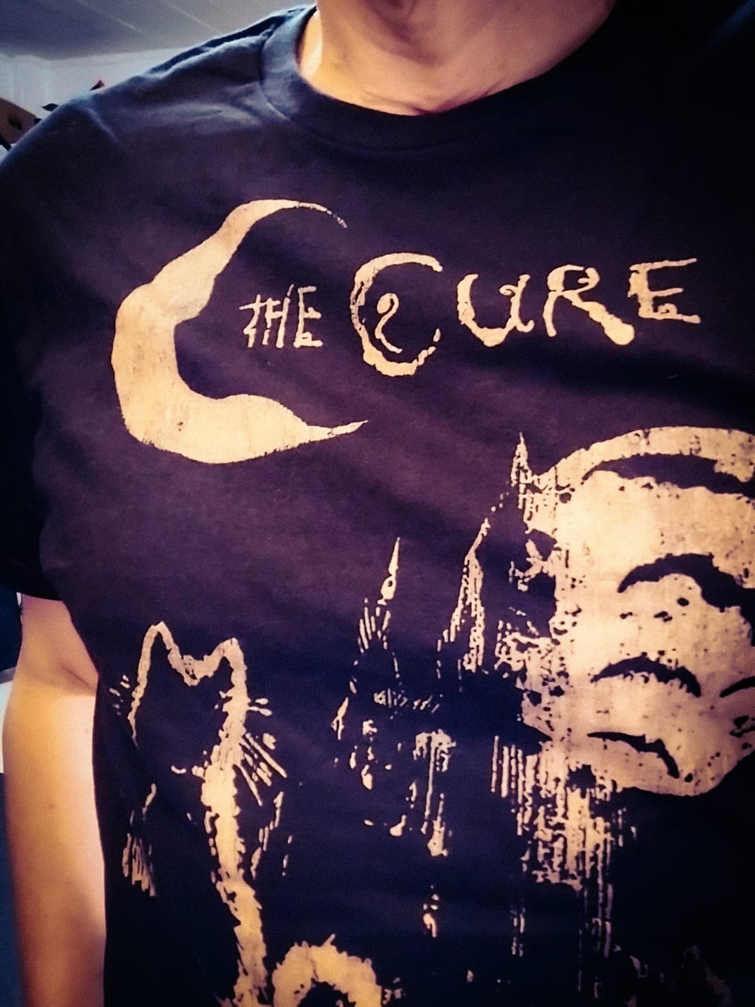 Customer photo review of Vinyl Sunsetter T-Shirt