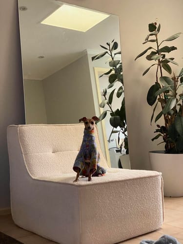 Customer photo review of Loungi Occasional Chair