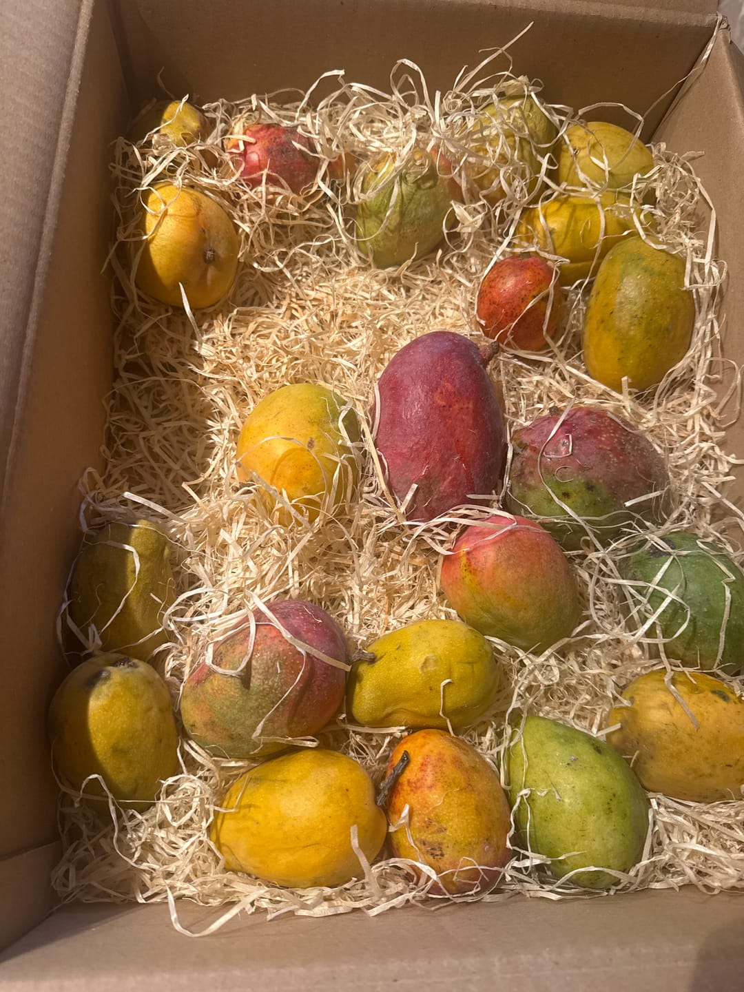 Customer photo review of Baby-Mango Mix von Julian Retter-Box