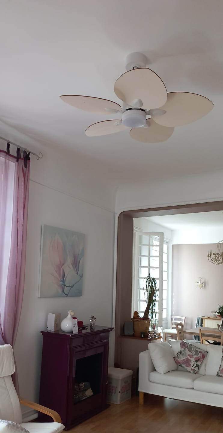 Customer photo review of Dahlia | Ventilateur de plafond