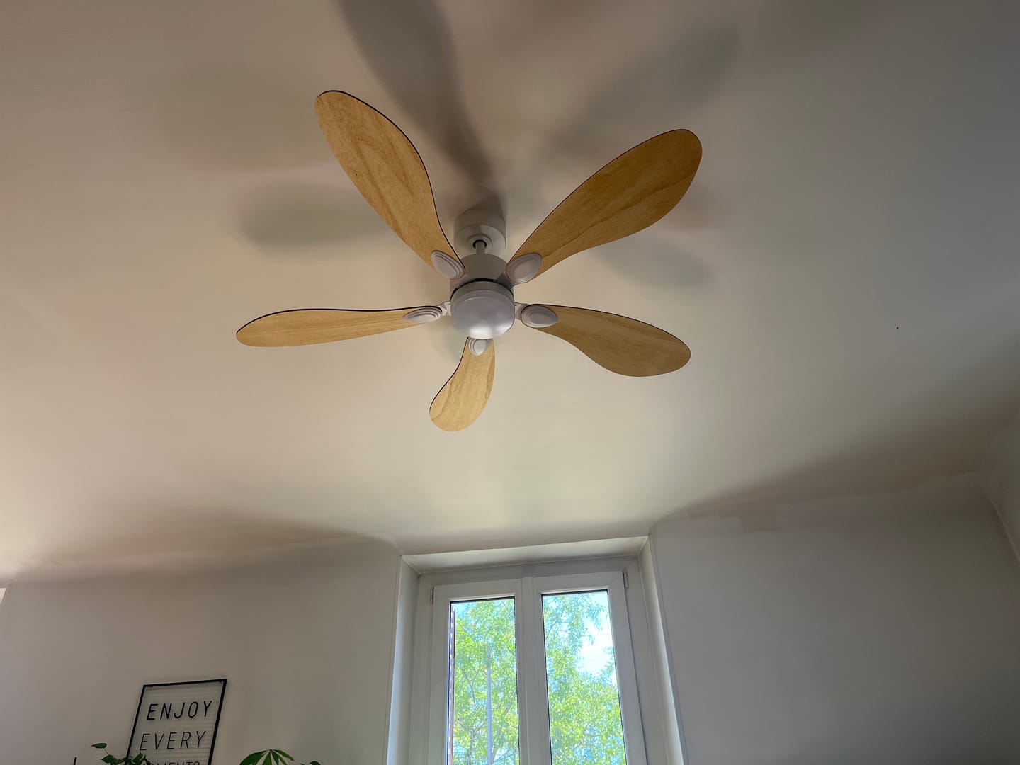 Customer photo review of Libellule teinté Chêne | Ventilateur de plafond
