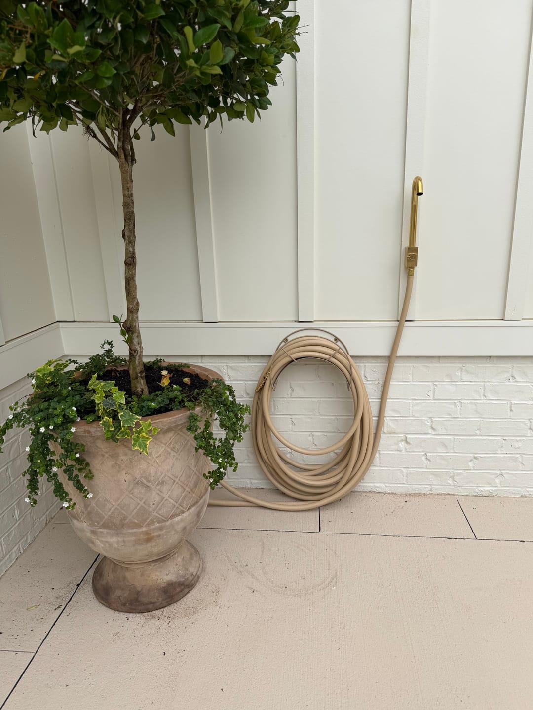 Customer photo review of Everlasting Garden Hose